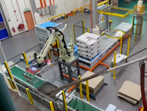 Bag Palletizing 2