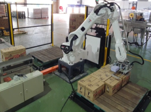 Carton Box Palletizing